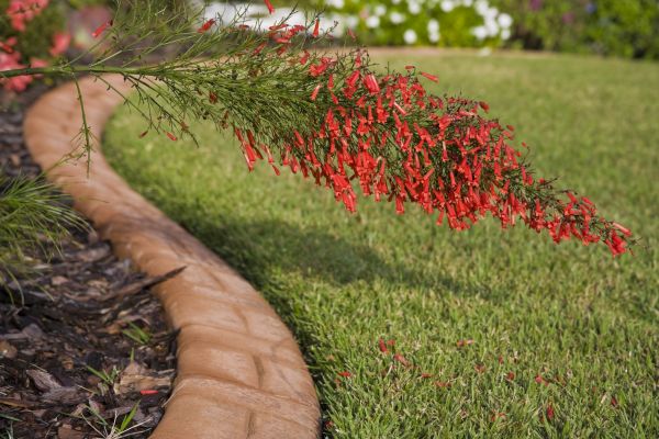 Brick Edging in Windsor