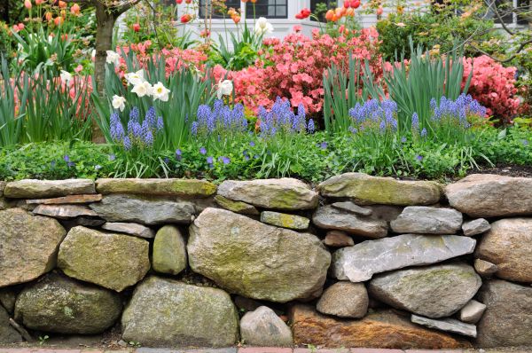 Stone Wall Hardscaping in Windsor