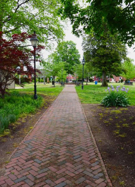Brick Pathway Repair in Windsor