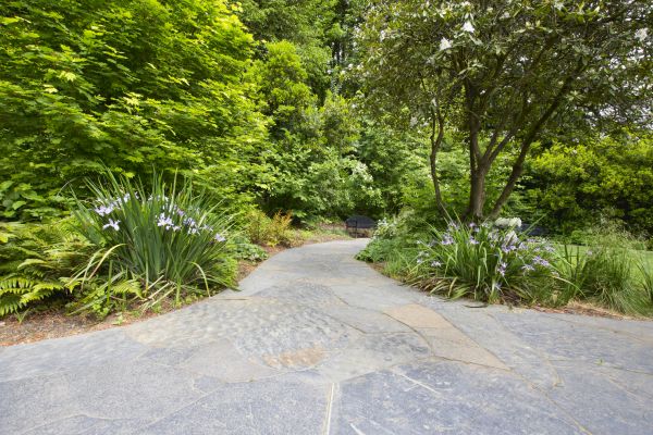 Stone Hardscape Service in Windsor