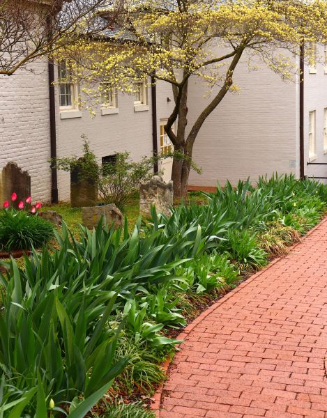 Brick Flatwork Repair in Windsor
